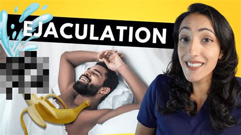 File:Sexual intercourse with internal ejaculation.webm.